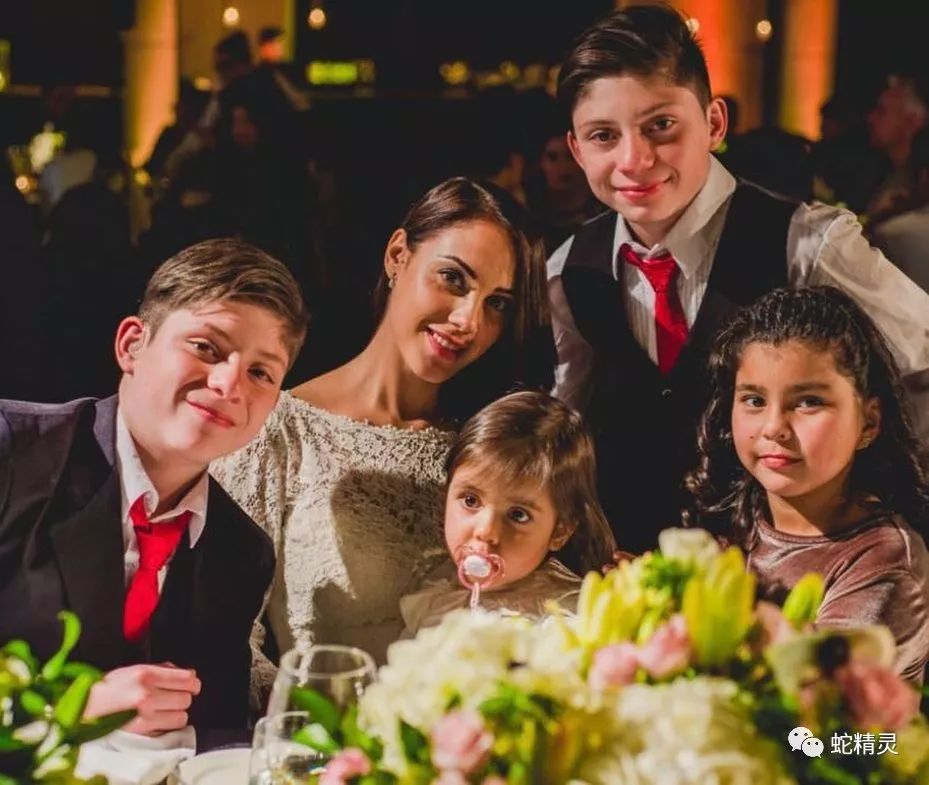 关于法甲倒计时，罗马今晨单刀错失，细节引发关注，话题不断，临场指挥获称赞的信息